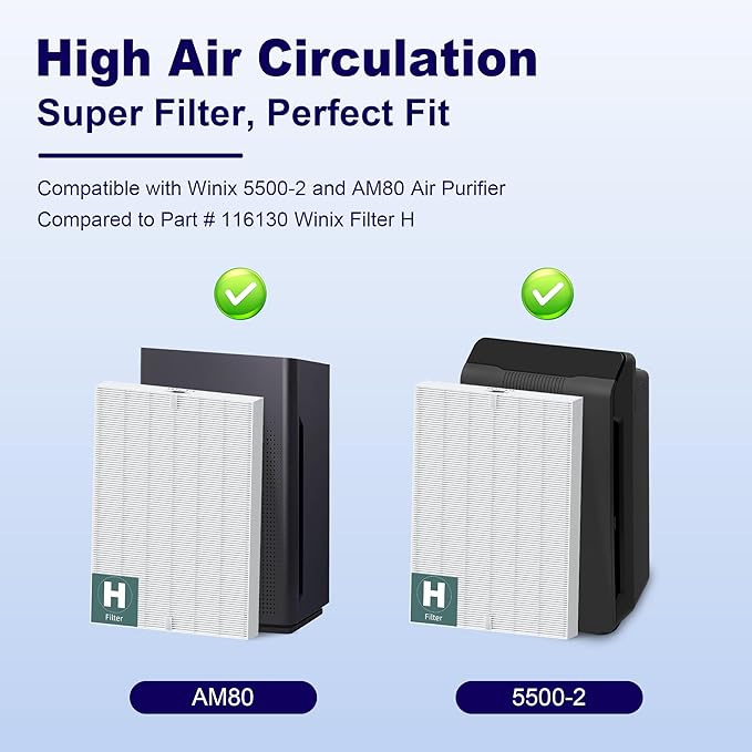 116130 Replacement Filter H for Winix 5500-2 AM80 Plasmawave Air Purifier, True HEPA Filter and Activated Carbon Filter Combo Pack, 1 Set