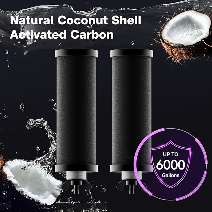 Black Purification Elements,Replacement Filters for ProOne® and Berkey® Filters,ProOne® Big+ or Berkey® Big Countertop Gravity Water Filter System and Purewell System (4 Pack)