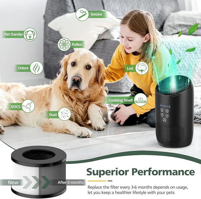 BS-03 HEPA Replacement Filter Compatible with PARTU and Slevoo BS-03 HEPA Air Purifier with 3-in-1 Filtration System, 2 Pack