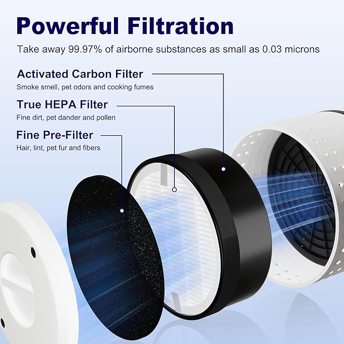LV-H132 Replacement Filter Compatible with LEVOIT LV-H132 Air Puifier, 3-in-1 H13 Grade True HEPA High-Efficiency Activated Carbon Filter, Part # LV-H132-RF, 2 Pack
