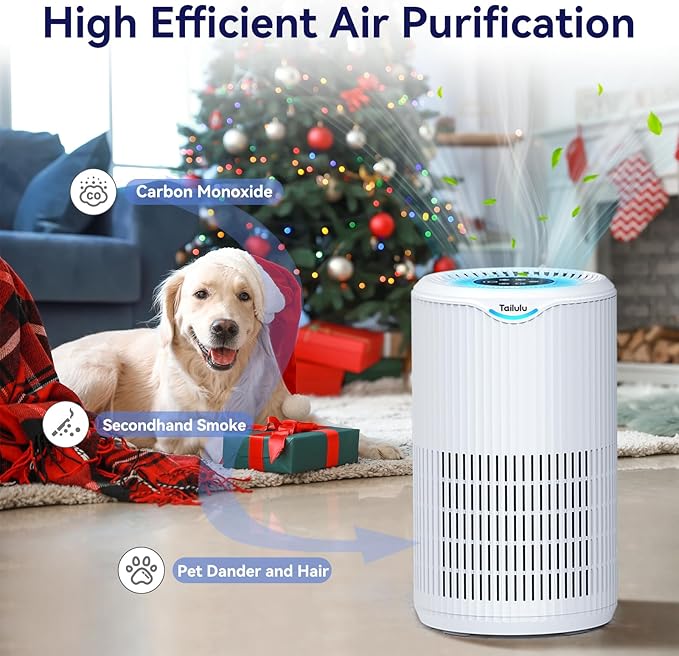 Air Purifiers for Home Large Room Up to 1500 Sq Ft, Tailulu H13 HEPA Air Purifier for Pet Dander Smoke Odor Dust Pollen, Air Filter for Bedroom Living Room, Kitchen, Office, Sleep Mode