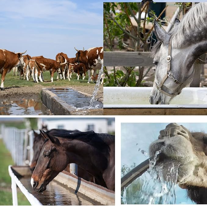 2Pcs Aquarium Cube Filter, Activated Carbon Aquarium for Ponds,Fish Tank,Stock Tank for Horses,4X4X2 Inch，eco Aquarium Water Purifier Cube