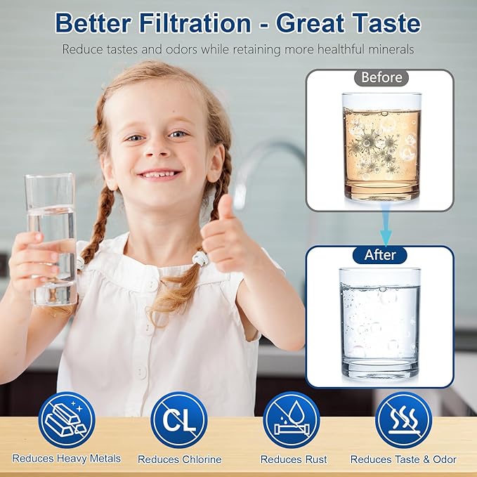 Water Filter Replacement for Berkey, Black Purification Elements, Activated Carbon Filters, Compatible with Berkey Gravity Water Filter System, Pack of 2