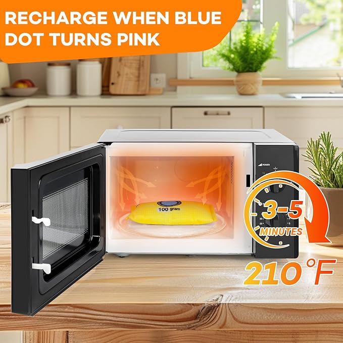 100g (6 Packs) Rechargeable Desiccant Packs for Storage, Color Indicating Silica Gel Desiccant Packets, Moisture absorbers for storage,Dehumidifier bag for Closets,Cars,Storage Bins