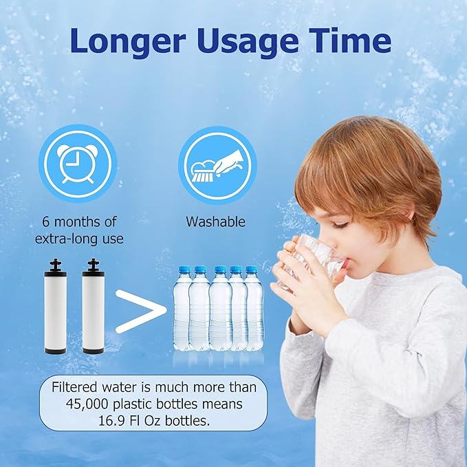 【Upgraded】Renami Ceramic Filter Silver Infused Replacement for BB9-2® Black Activated Carbon Filters, Compatible with Berkey® Travel, Large, Royal, Crown Series, Repeatable Cleaning Filters, Pack of 2