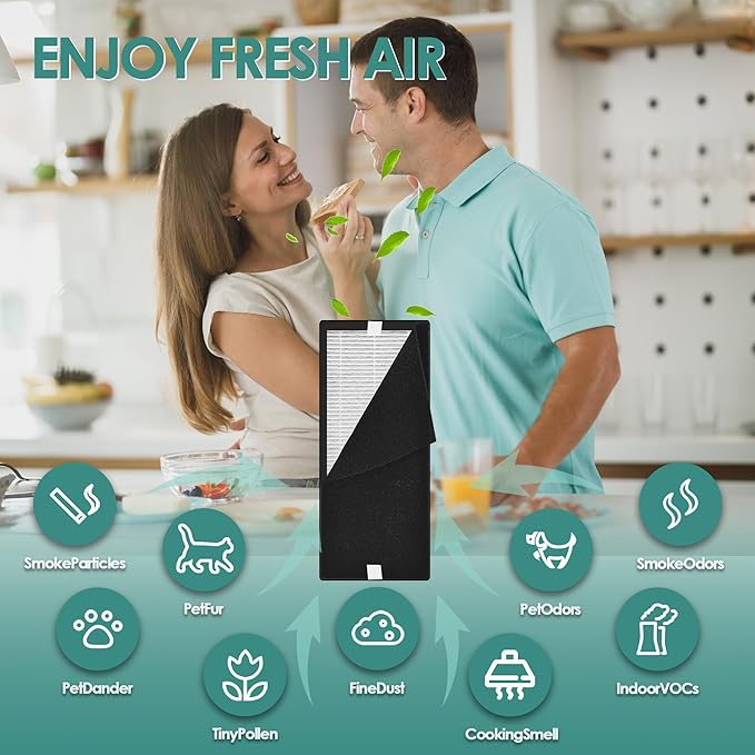 Idylis Air Purifier Replacement Filter C for Filtrete and Idylis IAP-10-200 IAP10200 [C+C] IAP-10-280 IAP10280 [C+D] Air Purifier with Idylis Air Filters IAF-H-100C, 2 HEPA & 2 Extra Carbon Pre-filter