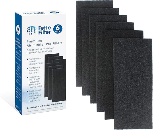 Fette Filter - Replacement Carbon Pre/Post Filters compatible with Holmes Air Purifiers - Compatible with Part AOR31 Filter I includes 6 Premium Activated Carbon