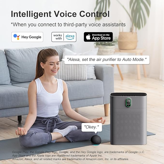 MORENTO Air Purifier for home Large Rooms up to 1076 ft2, Wi-Fi and Alexa compatible, PM2.5 Air Quality Display, Auto Mode, HEPA Filter Removes Dust, Pollen, Smoke 1 Pack +2 Pack Filters(Gray)