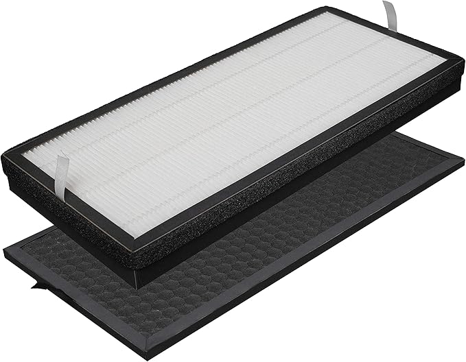 XD6065 Activated Carbon & XD6075 True HEPA Replacement Filter, Compatible with Rowenta PU4020 Intense Pure Air Purifiers, 1 Carbon Odor Eliminator & 1 True HEPA Allergen Remover