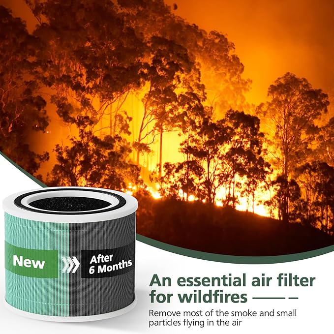 Core 300 Toxin Absorber Replacement Filter for LEVOIT Core300-P Core 300 VortexAir Air Purifier, 3-in-1 HEPA and Activated Carbon, Core 300-RF-TX, 2 Pack, Green