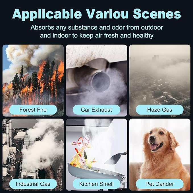 HPA200 Replacement Filters for Honeywell HRF-ARVP200, HPA200, HPA201, HA202, HPA204, HPA250 Series Air Purifiers, 2 HEPA R Filter and 4 Activated Carbon Pre-Filters A by Funmit