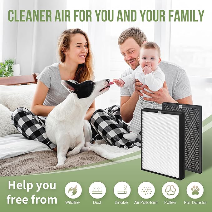 AP-B102 Replacement Filter Compatible with Alexapure Breeze Air Pu-rifier AP-B102 and 3049 Filter Set, 3 H13 True HEPA Filters and 3 Activated Carbon Filters Included