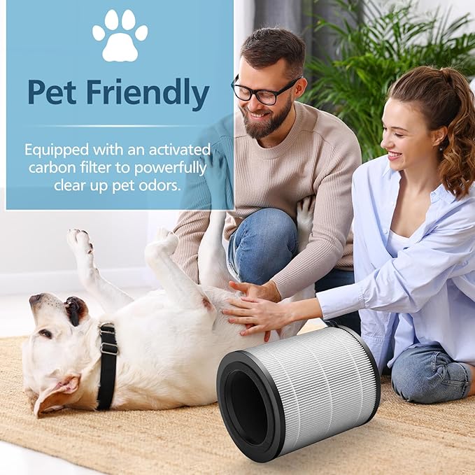 JF100 Replacement Filter Compatible with JF100 Air Purifier, 3-in-1 True HEPA and Activated Carbon Filters, 2 Pack