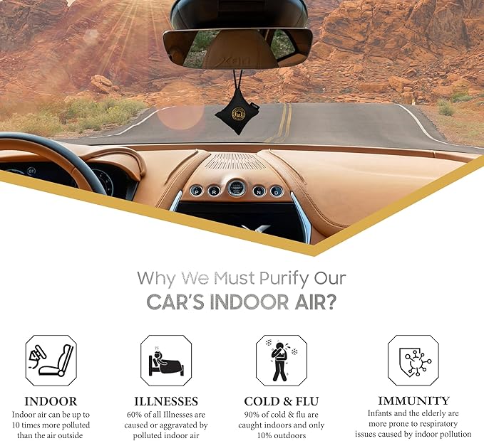 GOODAIR HEPA Car Air Purifier Bag & Pouch | 75g Activated Carbon Filter, Absorb Toxic Gases, 2.0 Premium Certified Air Purifier, Suitable for All Cars, 24/7 Air Purification - Super Black