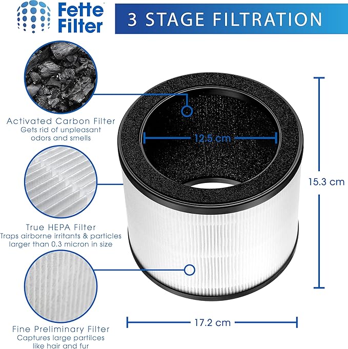 HAPF360 Type J Premium Filter Replacement Compatible with Holmes HAPF360 True HEPA 360 Purifier HAP360W and Bionaire True HEPA 360° UV Includes 2 True Hepa H13 filter replacements.