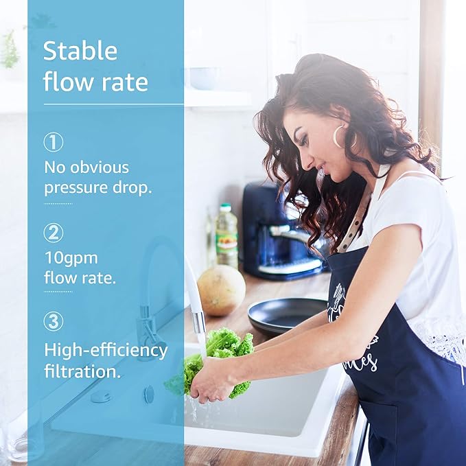 AQUA CREST AP431 Replacement for Aqua-Pure AP430SS, Whole House Scale Inhibitor Water Filter, Helps Prevent Scale Build Up On Hot Water Heaters and Boilers, Pack of 1