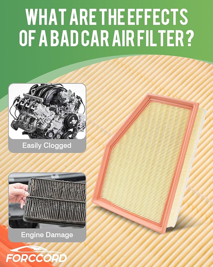 Cabin & Engine Air Filter Fit for 2018-2019 X3 (XDrive30i/SDrive30i/M40i), 2019 X4; 2020-2021 X3 (XDrive30i/SDrive30i); 2020-2022 X4 (XDrive30i) Replacement 64119382885 Accessories