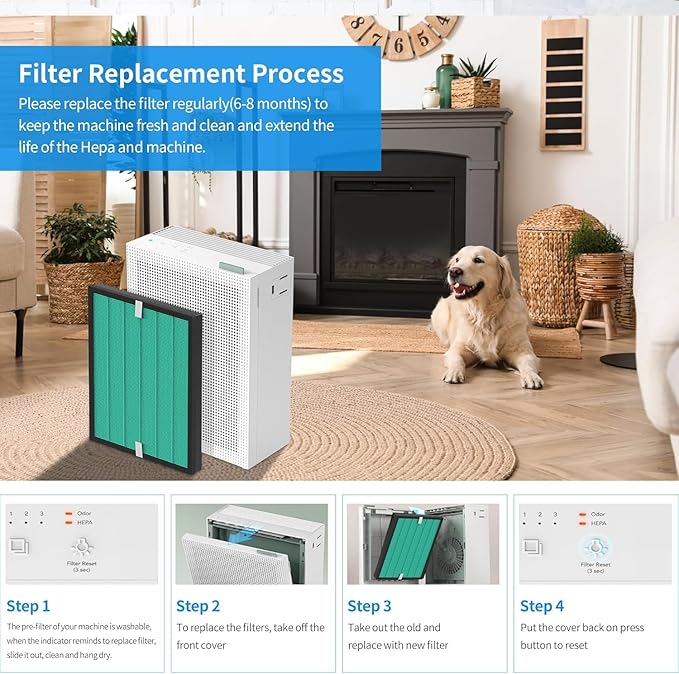 Airmega 150 Filter Replacement Compatible with Coway Airmega 150 (AP-1019C) & Airmega 160 Air Purifiers, Green True HEPA and Enhanced Activated Carbon Filter, Part＃AP-1019C-FP Upgraded Version 2 Pack