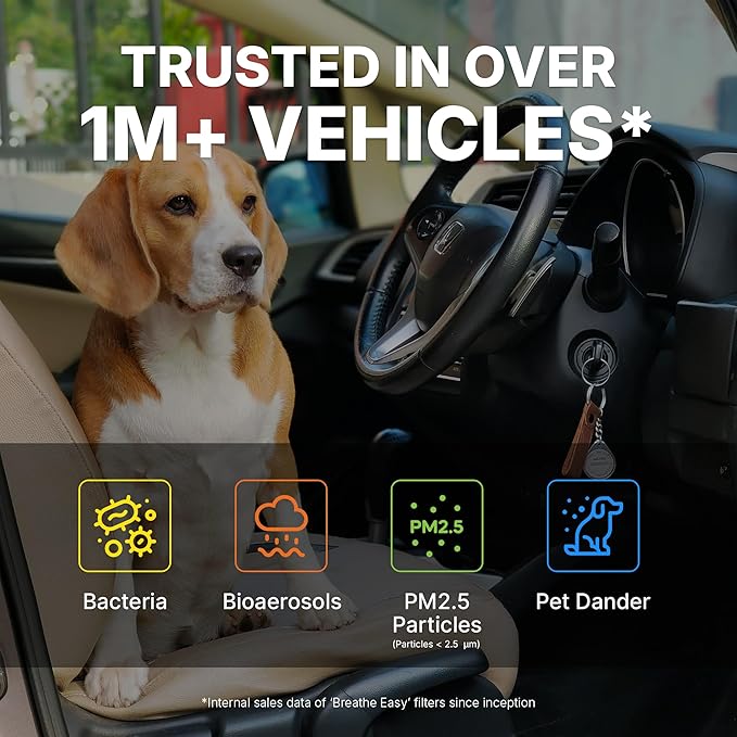 Spearhead HEPA Breathe Easy Cabin Filter, Up to 99.97% Filtration of 0.3 Micron Particles w/No Airflow Reduction (BE-671H)