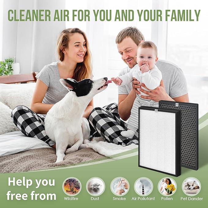 AP-B102 Replacement Filter Compatible with Alexapure Breeze Air Pu-rifier AP-B102 and 3049 Filter Set, 2 Main Filters and 2 Activated Carbon Filters Included