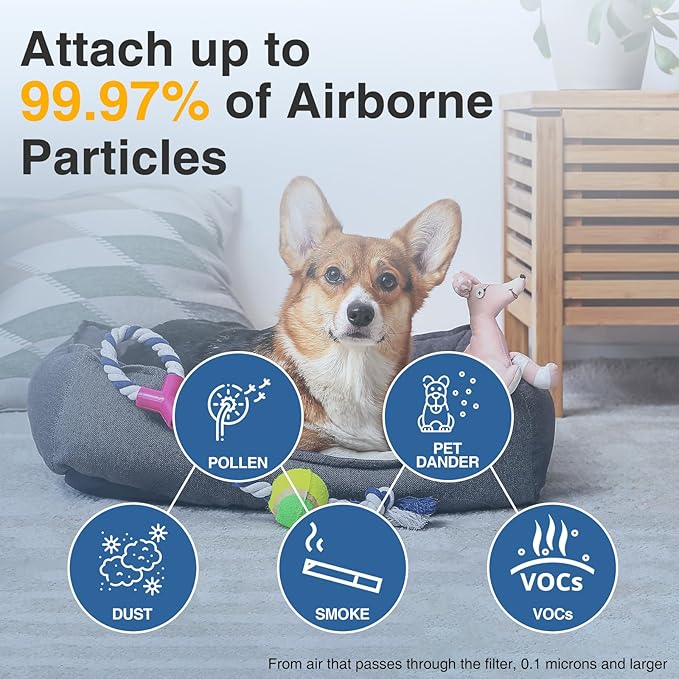 HPA300 HEPA Air Purifier Filter R for Honeywell Air Purifier HPA100/200/300 and 5000 Series, 6 Pack HEPA Filter Compatible with Honeywell R Filter (HRF-R3 & HRF-R2 & HRF-R1)