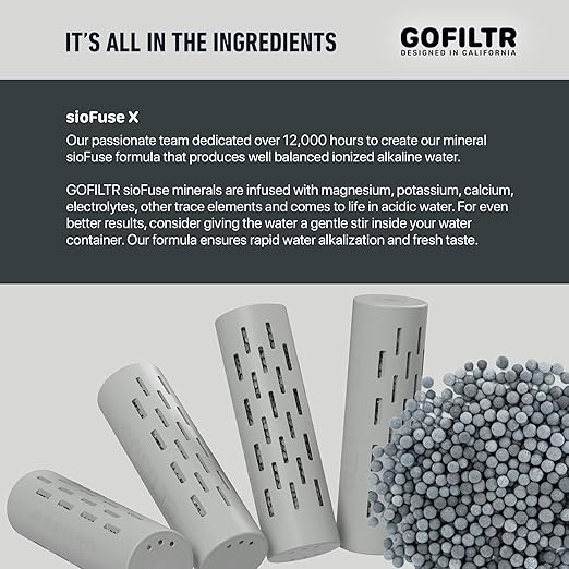 GOFILTR Alkaline Water Infuser (Original 2 Pack) 9.5 pH + Electrolytes for Any Water Bottle/Small Pitcher, 750 Refills / 3 Months, 2 Ionized Mineral Water Infusers