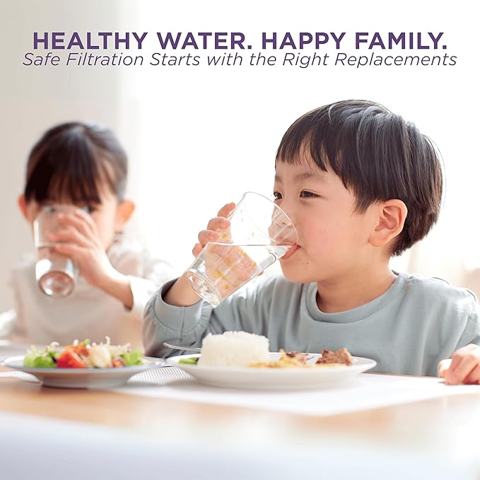 Replacement Bundle Water Filter Cartridge 1361, Ceramic Pre-Filter 1364, Micro Sponge 1362 & Mineral Stones 13564 (formerly 1386) for Nikken Aqua Pour Countertop Filters, Alkaline Water Gravity System