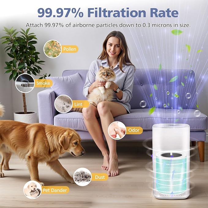 Core 600S for LEVOIT Core 600S & Core 600S-P