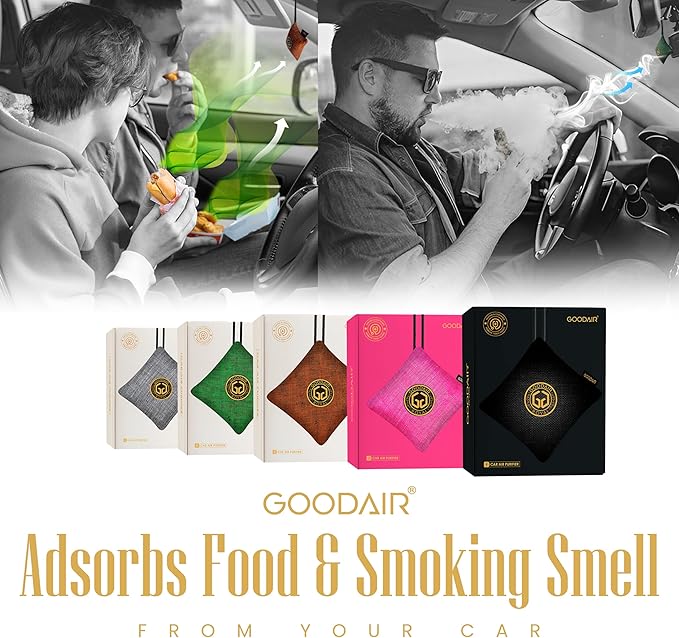 GOODAIR HEPA Car Air Purifier Bag & Pouch | 75g Activated Carbon Filter, Absorb Toxic Gases, 2.0 Premium Certified Air Purifier, Suitable for All Cars, 24/7 Air Purification - Elegant Silver