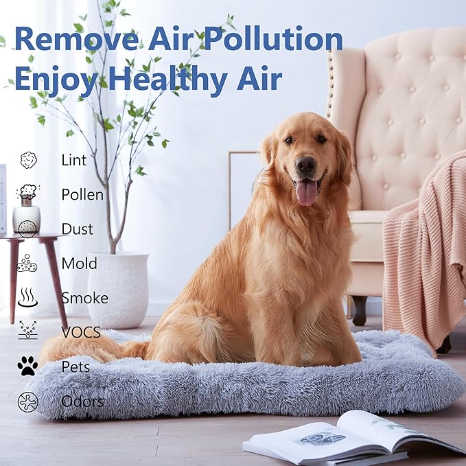 FLT4825 HEPA Filter B Replacement for Guar.dian Air Purifier AC4825 AC4300 AC4800 AC4900 AC4850, 2 HEPA Filter and 8 Pre-Filter by NISHCON