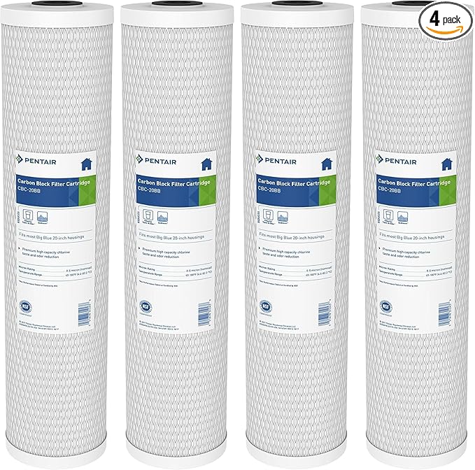 Pentair Pentek CBC20-BB Big Blue Carbon Water Filter, 20-Inch, Whole House Carbon Block Replacement Cartridge with Bonded Powdered Activated Carbon (PAC) Filter, 20" x 4.5", 0.5 Micron, Pack of 4