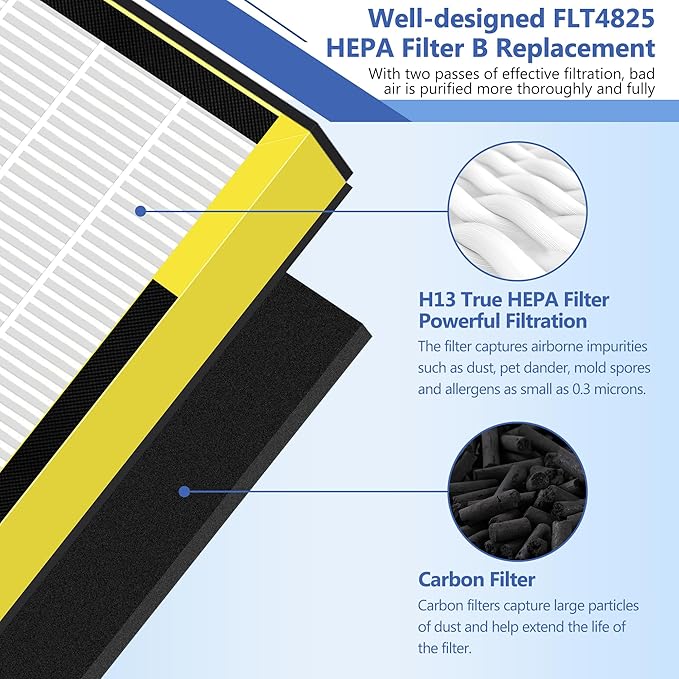 FLT4825 HEPA Filter B Replacement for Guar.dian Air Purifier AC4825 AC4300 AC4800 AC4900 AC4850, 4 HEPA Filter and 6 Pre-Filter by NISHCON