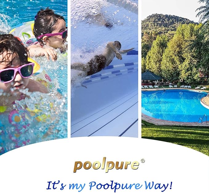 POOLPURE Replacement Filter for PWW50P4, 1 1/2" MPT Thread Screw in Filter(FINE Thread), 45 sq.ft,2 Pack