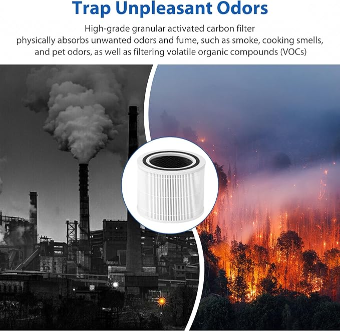 Core 300 Replacement Filter for LEVOIT Core 300, Core 300-P, Core 300S Vortex Air Air Purifier, 3-in-1 H13 Grade True HEPA Filter Replacement 2 Pack, Compare Part No. Core 300-RF (White)