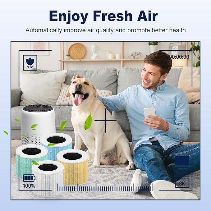 Core Mini Smoke Remover Replacement Filter for LEVOIT Core Mini and Core Mini-P Air Purifier, 3-in-1 H13 Grade True HEPA and Activated Carbon, Core Mini-RF-SR, 2 Filter & 10 Fragrance Sponge, Blue