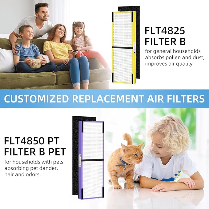 APPLIANCEMATES FLT4825 Filter B Smoke Clear HEPA Replacement for Germ Guardian AC4825 AC4300 AC4800 AC4900 AC4850,2 True HEPA Filters & 8 Activated Carbon Pre-Filters,FLT4825SM,Gray