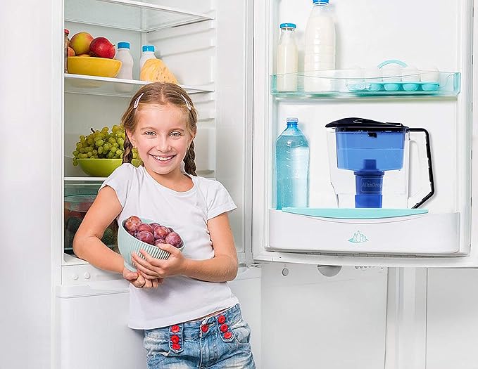 Water Pitcher, Alkaline Water Pitcher,Alkaline Water jug -7 Stage Ionizer Filtration System to Purify and Increase PH Levels - Clean, Refreshing Water, 10 Cup Water jug,BPA Free.