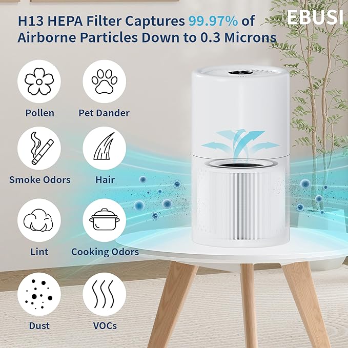 EBUSI Genuine Core 300 Replacement Filter, Compatible Core 300 Core300-P Core 300S Core 300S/P, 3-In-1 HEPA, High-Efficiency Activated Carbon, (1 Pack, White)