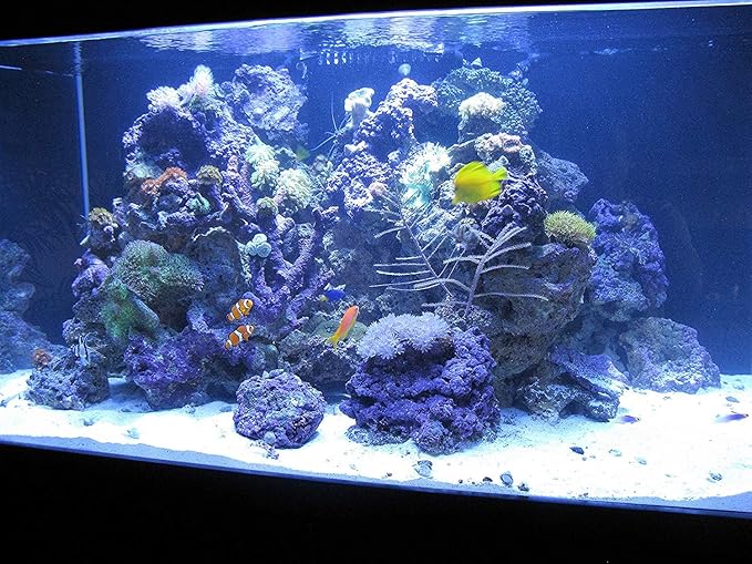 Kolar Labs Crystal Cal Activated Carbon – 3.5 Gallon, Activated Charcoal for Aquariums and Fish Tanks