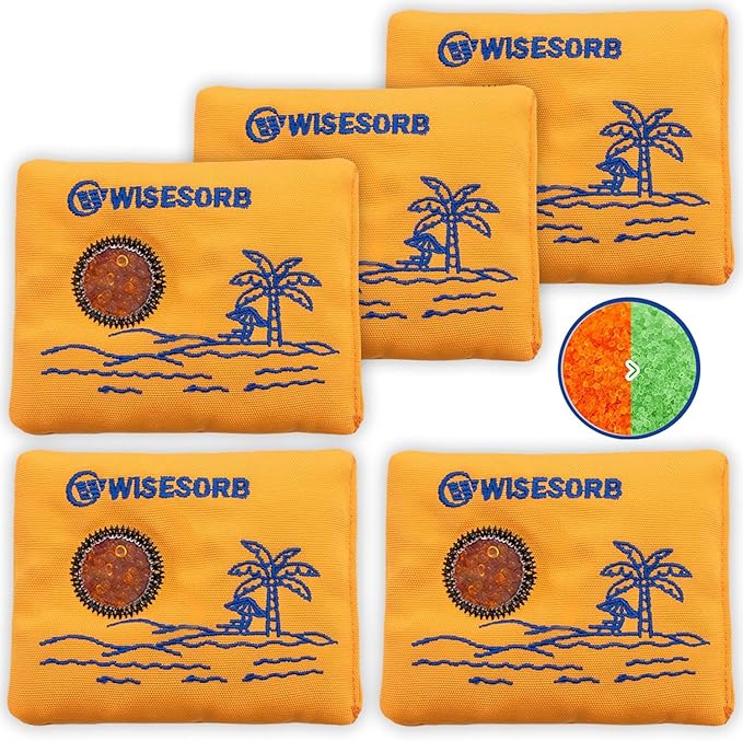 100gx5pcs Rechargeable Desiccant Packs for Storage, Reusable Dehumidifier Bags Visible Color Indicating Silica Gel Packets Moisture Absorbers for Safe Closet 3D Filaments Electronics Camera