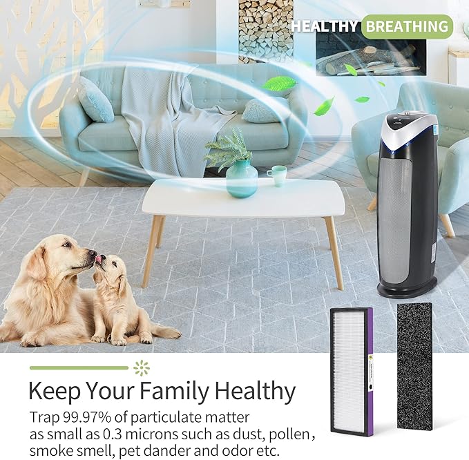 FLT4850PT Air Pu-rifier Filter Replacement Compatible with Germ-Guardian Filter B AC4850PT AC4300WPT AC4900 Air Pu-rifier, 4 HEPA and 6 Pre-Filters