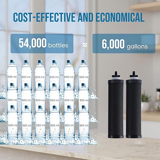 304 Stainless Steel Water Filter with Stand, Gravity Fed Water Filtration System, 2.25 Gallon Capacity with 2 Black Carbon Cartridges, Countertop Purifier for Home, Camping, Emergency Use