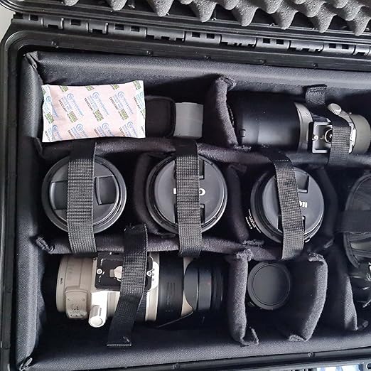 200 Gram [10 Packs] Desiccant Packs, Indicating Silica Gel, Rechargeable Silica Packets, Moisture Absorbers for Storage, Humidity Absorber