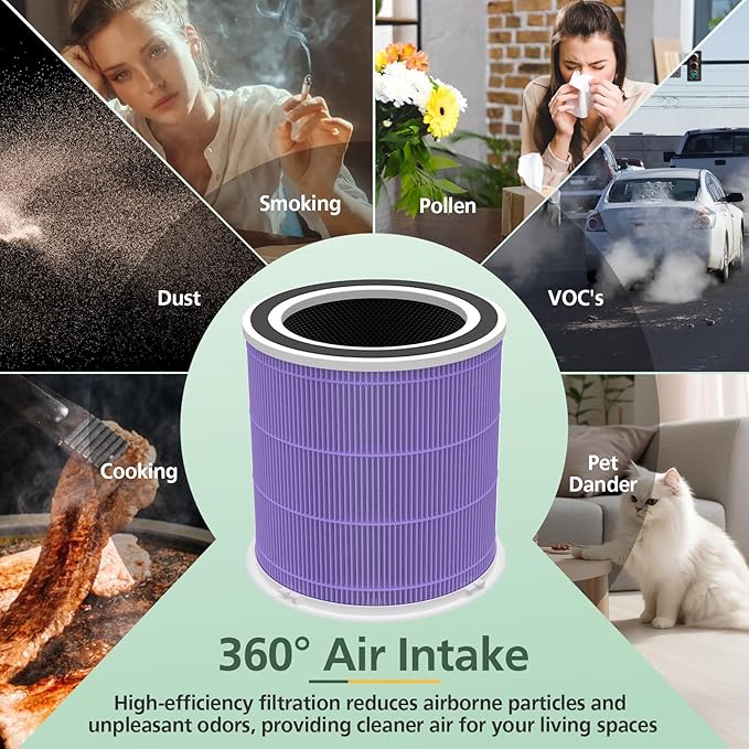 AP301 AP302 HEPA filter Replacement, ONLY for Dayette AP301 AP302 Air Purifier, HEPA and More Carbon Particles, Pets Odors filter