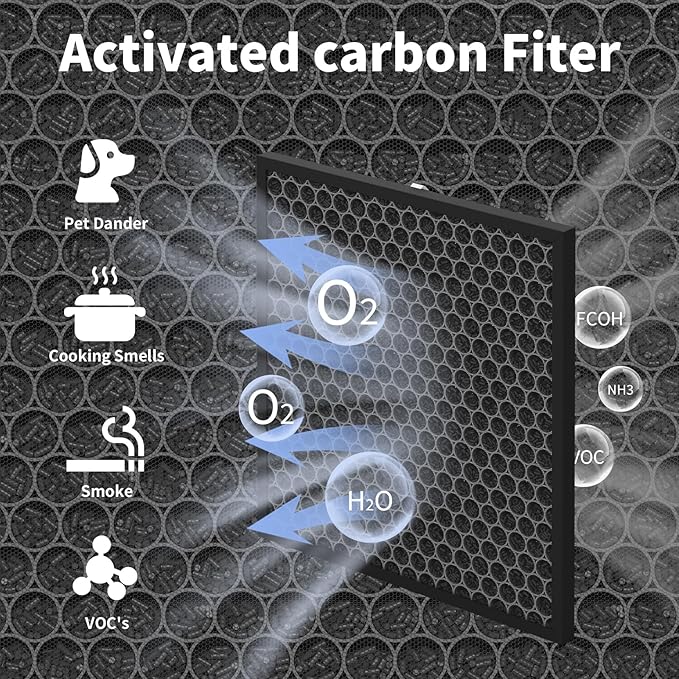 HSP001 Filter Replacements, 2 Pack