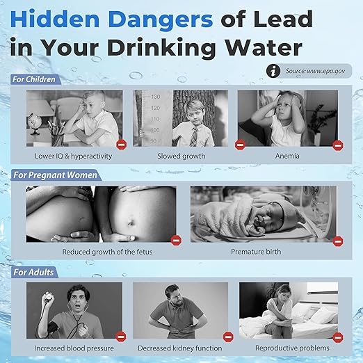 iSpring WGB21B-CPB 2-Stage Whole House Water Filtration System Reduces Arsenic, Cadmium, Mercury, Sediments, Chlorine, and up to 99% Lead, 1" Inlet/Outlet Ports