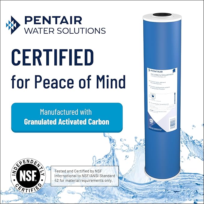 Pentair Pentek GAC-BB Big Blue Carbon Water Filter, 10-Inch, Whole House Heavy Duty Granular Activated Carbon (GAC) Replacement Cartridge, 10" x 4.5"