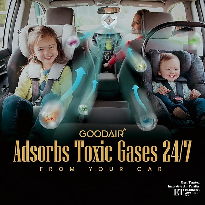 GOODAIR HEPA Car Air Purifier Bag & Pouch | 75g Activated Carbon Filter, Absorb Toxic Gases, 2.0 Premium Certified Air Purifier, Suitable for All Cars, 24/7 Air Purification - Elegant Silver