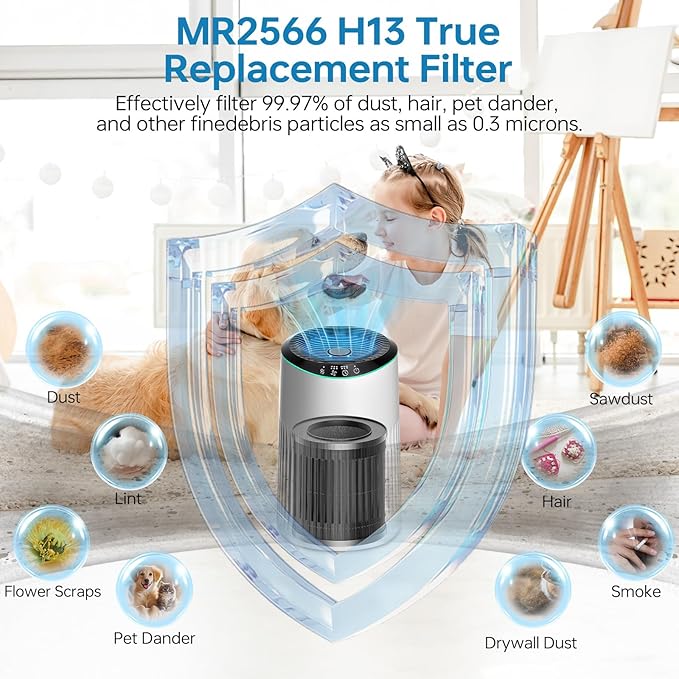 2 Pack MR2566 Filter for MORENTO MR2566 Replacement Filter, 3-in-1 True Activated Carbon Pre-Filte