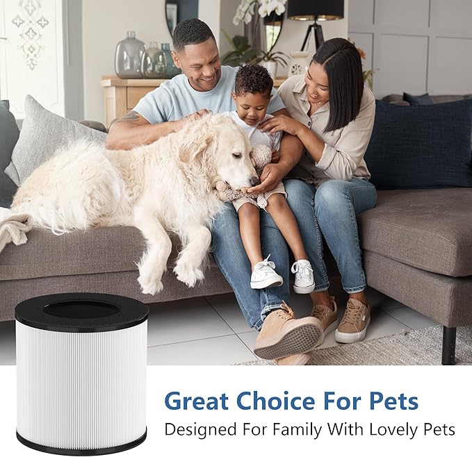 AP050 Replacement Filter, Compatible with Tailulu AP050 AP052 Air Purifier, H13 Grade True HEPA Replacement Filte-r, 360°3-Stage Filtration for Odor, Dust, Somke, Pollen, 2-Pack (2 Pack Original)